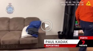 Мужчина из Австралии соорудил секретный бункер под диваном с впечатляющим арсеналом