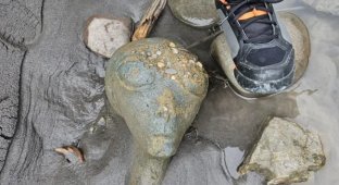 On the bank of a river in Switzerland, a "head" of a humanoid creature was found (3 photos)