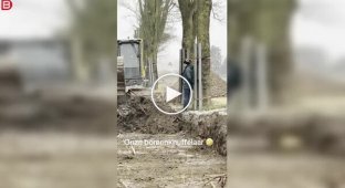 Активіст став перед технікою, щоб врятувати дерево від вирубки