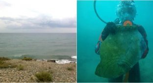 An earthquake hid: archaeologists discovered the "Atlantis" of the Tien Shan (5 photos)