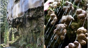Mysterious waterfall that "turns everything to stone" (10 photos)