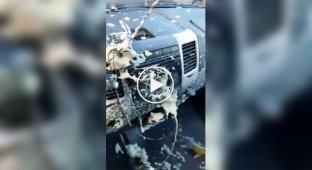 Монтажная пена взорвалась в салоне машины от жары