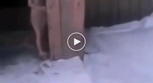 В Алтайском крае родители выгнали 6-летнего ребёнка голым на мороз