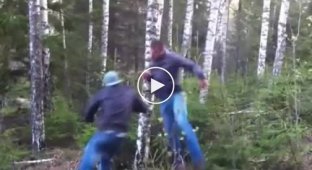 Латыши ломают дерево