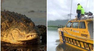 В Австралии крокодил перевернул лодку и съел рыбака (5 фото)