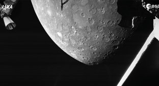 «БепиКоломбо» сделал первые фотографии Меркурия (8 фото)