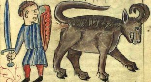 Bonacon - the most indecent animal of the ancient world (8 photos)