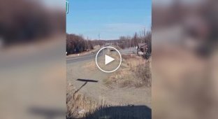 На Аляске местный житель улетел из ресторана на личном самолете