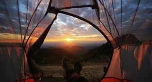 Новый тренд дикого туризма – палатки с прозрачными стенками (13 фото)