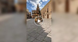 Cats have taken over Christmas tree installed in a square in Italy