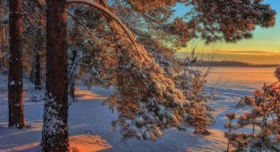 Красивые зимние фото. Сибирская зима (10 фото)