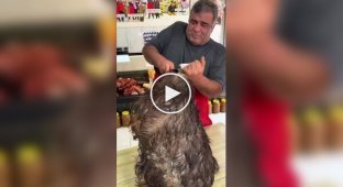 Turkish Tulum cheese.