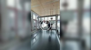 Одна из самых больших беговых дорожек в мире