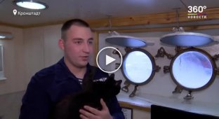 Кошка Собака - талисман и любимец экипажа российского корабля