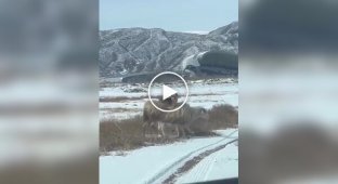 Минимум усилий — максимум контроля