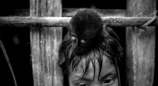 На грани исчезновения: удивительные фотографии амазонского племени Ава (6 фото + 2 видео)