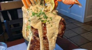 Strange serving of dishes in cafes and restaurants (22 photos)