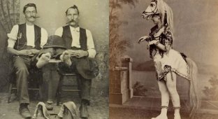 Життя у вікторіанську епоху: 46 рідкісних фотографій, які вас здивують (47 фото)