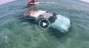 Таинственный затонувший пикап у побережья Автралии
