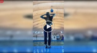 Дельфин неожиданно прервал танец девушки во время съемки