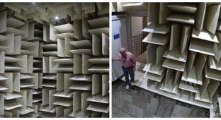 What the quietest room in the world looks like (4 photos + 1 video)