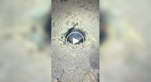 Walking on the beach, look under your feet