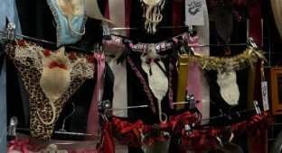 Fashion on the edge: underwear with stuffed rats has begun selling in Australia (2 photos + video)