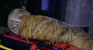 Врачи диагностировали у мумии рак — через 2 тысячи лет после смерти (4 фото + 1 видео)