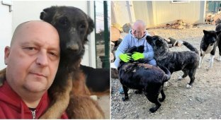 Чоловік із Сербії піклується про тисячі бездомних тварин (23 фото)