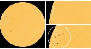 На Солнце обнаружен огромный «архипелаг» солнечных пятен в 15 раз шире Земли (7 фото + 1 видео)