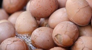 Китайский деликатес – яйца, сваренные в моче девственников (10 фото)