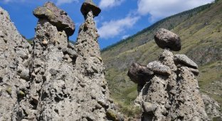 Алтай. Каменные грибы Ак-Курум (18 фото)