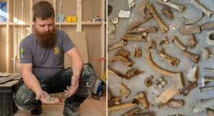 Plumber found dozens of bones under the bathtub (6 photos + 1 video)