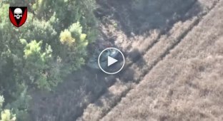 A Ukrainian FPV drone destroys a Russian self-propelled gun “Nona-S” in the Ugledar direction