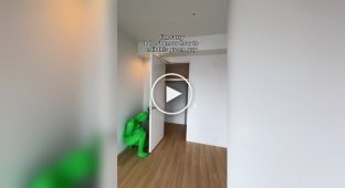 Риелтор не разобралась, как убрать зеленого человека из видео и прославилась в сети