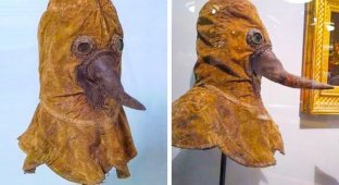 Plague doctor mask: why is it so strange and did it save you from the plague (7 photos)
