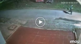 A rhinoceros chased a man in Nepal