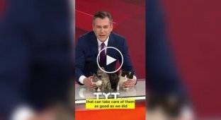 Turkish TV channel handed out kittens live