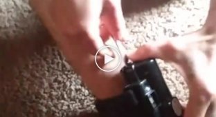 An American showed how to remove his electronic bracelet and went to prison