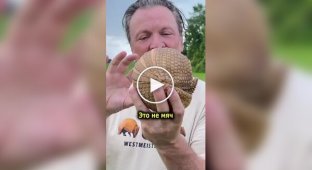 Unexpected fact about armadillos