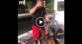 Собака зіпхнув свого господаря за борт човна