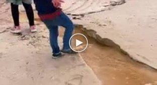 Children wanted to make a waterfall on the beach, but accidentally broke the ecosystem