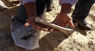 Археологи обнаружили в Тунисе новые доказательства ранней миграции человека из Африки (5 фото)