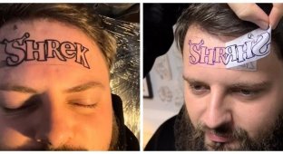 Настоящий киноман: парень сделал татуировку «Шрэк» на лбу (4 фото + 1 видео)