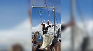 Самый важный человек на борту