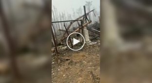 Fragments of video from the village of Krynki on the Left Bank of the Kherson region