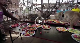 In Thailand, they threw a luxurious banquet for macaques