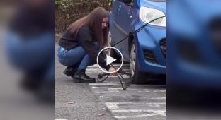 Попытка накачать колесо