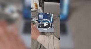 A Developer Taught a Mac to Moan When Hit