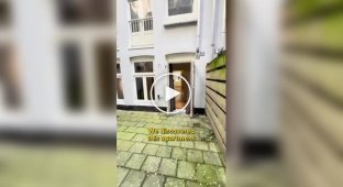 Аренда квартиры в Амстердаме за 1950 евро